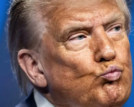 Trump vs Reality Review: No Other Network Would Dare TV So Bold (and) Repetitive